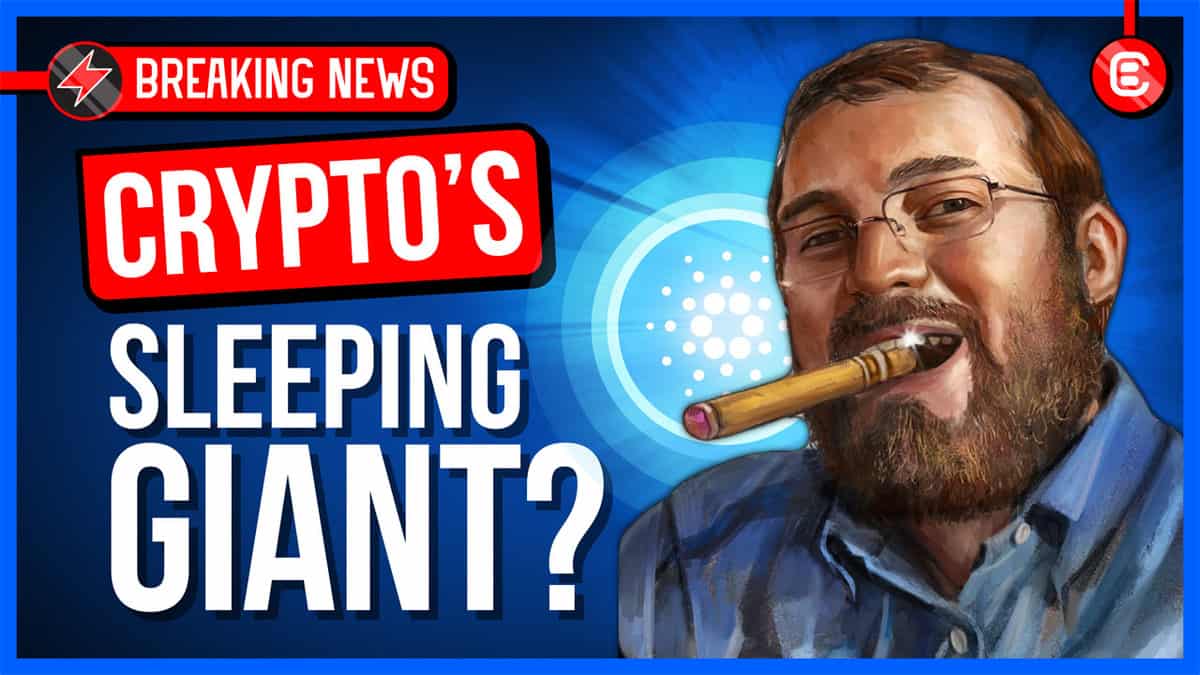 Cardano sleeping giant