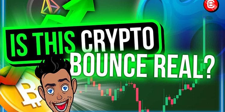IS THIS CRYPTO BOUNCE REAL