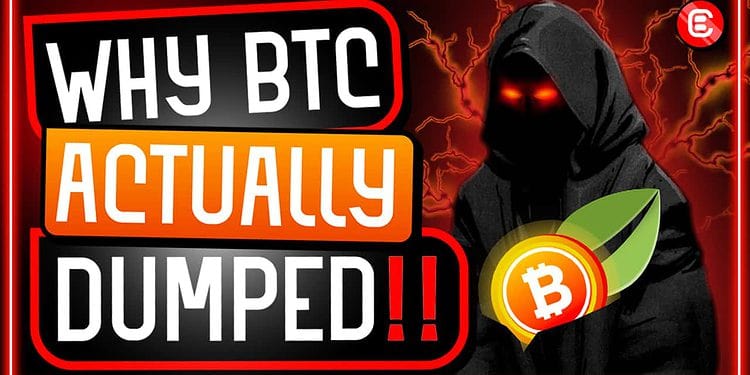 Why BTC actually dumped?