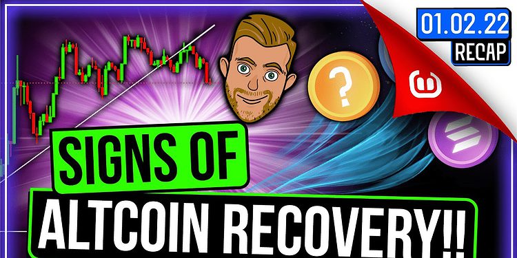 Signs of Altcoin recovery