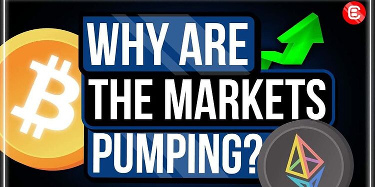 Is the Crypto market pump real?