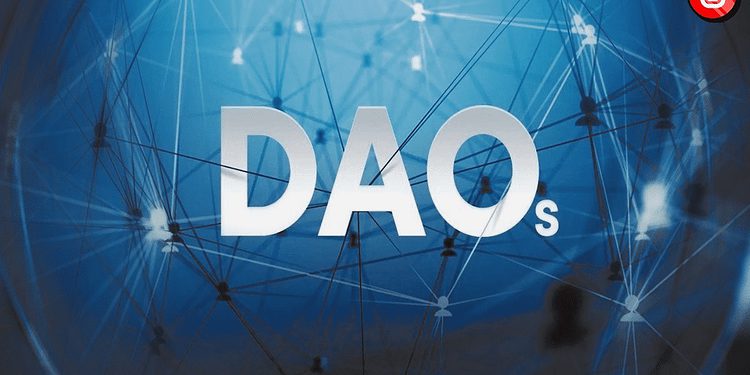 What is a DAO