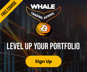 Whale Trading School